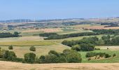 Tour Wandern Bouxières-aux-Chênes - bouxieres aux chênes - Blanzey - Photo 15