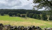 Tocht Stappen Breitenbach - Vers le champ du Feu - Photo 4