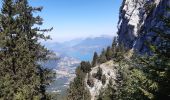 Tour Wandern Bellecombe-en-Bauges - montagne du charbon : montée par la piste Reposoir. col de bornette . refuge de la combe / retour même itinéraire sauf par les champs et bois depuis bornette  - Photo 13