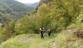 Trail Walking Ferrières - FERRIERES  la mine de Baburet   295 0542 - Photo 9