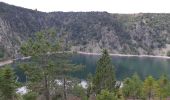 Tour Wandern Urbeis - Tour de lac Noir et du Lac Blanc  - Photo 20