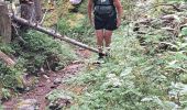 Trail Walking Fillière - GLIERES: GORGE D'ABLON - Photo 8
