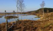 Trail On foot Unknown - Bølling Sø rundt - Photo 1