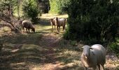 Randonnée Marche Millau - Le cun nant - Photo 5