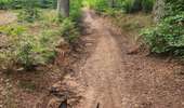 Trail Equestrian Porcelette - Wikiloc - Porcelette - Grotte des russes - Photo 19