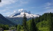 Excursión Senderismo Chamonix-Mont-Blanc - Montroc à Vallorcine  - Photo 17