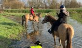 Tocht Paardrijden Reherrey - Mardi 27 février 24 Tivio reherey  - Photo 2