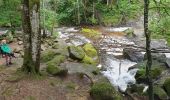 Tocht Stappen Arfeuilles - la cascade de pisserotte - Photo 3