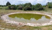 Randonnée Marche Le Caylar - Sur le Larzac : du Caylar à la  Couvertoirade  - Photo 1