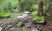 Tocht  Le Valtin - Sentier des roches frankenthal col de la schlucht - Photo 4