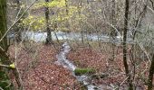Trail Walking Habay - Les 4 fils Aymon  - Photo 4