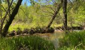 Tour Wandern Gedinne -  Vallée De la Hulle Bourseigne la neuve - Photo 17