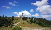 Tour Wandern Castellet-en-Luberon - Mourre du Grd Lubéron, crêtes et versant Nord  - Photo 5