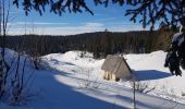 Tocht Sneeuwschoenen Corrençon-en-Vercors - Vers le Pas Ernadant et ses cabanes - Photo 10