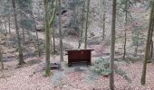 Tocht Stappen Dabo - boucle D'abord Haselbourg - Photo 4