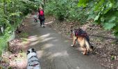 Trail Walking Habay - Mageroy ADEPS 2022 10 km - Photo 14
