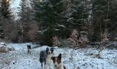 Randonnée Marche Neufchâteau - Hosseuse 4,2 km  - Photo 1