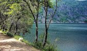 Trail On foot Orbey - Tour du Lac Blanc - Photo 3