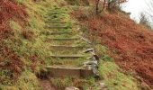 Tocht Te voet North Devon - Butterfly Walk - Photo 1