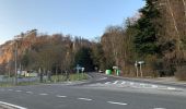 Trail Walking Namur - Marche les Dames bleu  - Photo 1