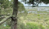 Excursión Senderismo Lacanau - D6E1 etang de cousseau/ ocean AR - Photo 2