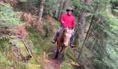 Trail Horseback riding Raon-l'Étape - L trouche pluie tout petit tour  - Photo 1