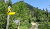 Randonnée Marche Pralognan-la-Vanoise - Pralognan - la crête du mont Charvet - Photo 5