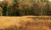 Tocht Te voet Kelmis - Rundweg Hohnbachtal - Photo 2