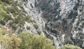 Trail Walking La Palud-sur-Verdon - Bastidon la palud  - Photo 12