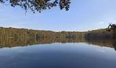 Trail Walking Citers - 17-10-21 etang de la velle - Photo 2