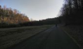 Tocht Mountainbike Virton - Le Gros Cron de Lahage  -  Balade_VTT_23Kms - Photo 8