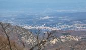 Tour Wandern Saou - Forêt de Saoû - Les Pomerolles - Photo 8