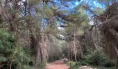 Randonnée Marche Frontignan - Les Aresquiers par le bois - Photo 3