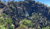 Randonnée Marche São Roque do Faial - Pico Ruibo - Photo 2