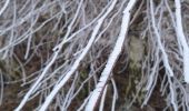 Tocht Stappen Verlaine - champon - Photo 4