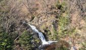 Trail Walking Waimes - Peak brune - Photo 15