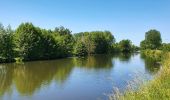 Excursión Senderismo Merbes-le-Château - De Merbes-le-Château à Labuissière - Photo 2