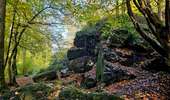 Trail Walking Honnelles - La promenade du Caillou qui Bique - Photo 17