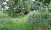 Percorso A piedi Trafford - Bollin Valley Way - Photo 4