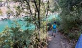 Tocht Stappen Montmeyan - Basses gorges du Verdon Quinson - Photo 7