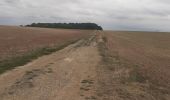 Tocht Stappen Saint-Aubin - St Aubin - Fontaine Mâcon - St Aubin - Photo 10