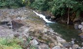 Tocht Stappen Capesterre-Belle-Eau - cascade bois Benoit - Photo 3