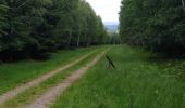 Trail Walking Spa - Winanplanche - Photo 3
