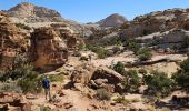 Tocht Stappen Unknown - 2024 Capitol Reef Hickman Bridge - Photo 2