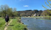 Trail Walking Bertrix - More et pire - Mortehan - Photo 11