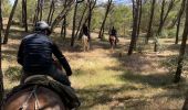 Trail Horseback riding Arguedas - Bardenas jour 7 - Photo 15