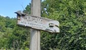 Trail On foot Dinant - Balade vers La Flobette - Photo 1