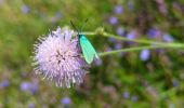 Tour Wandern Urbeis - Les Pierres tremblantes - Photo 20