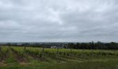 Percorso Marcia Brissac-Loire-Aubance - St Rémy la Varenne - Gennes - Photo 12