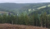 Trail Walking Vielsalm - Vielsalm 270625 - Photo 11